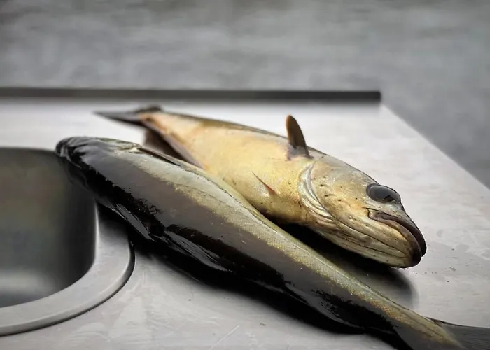 Gorgeous In With Kitchen